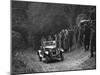 R Peatys Singer open 4-seater tourer competing in the JCC Half-Day Trial, 1930-Bill Brunell-Mounted Photographic Print