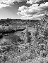 Just the Print