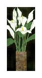 Ivory Calla Lilies-R^ Rafferty-Giclee Print