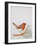 R - Robin-Oxana Zaiko-Framed Giclee Print