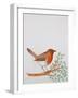 R - Robin-Oxana Zaiko-Framed Giclee Print