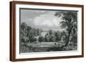 Brown Frame
