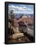 Essential Black
