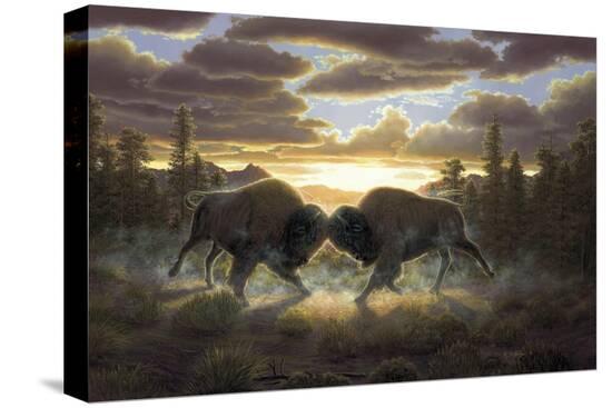 Stretched Canvas Print, , large