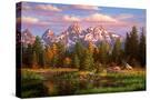 Stretched Canvas