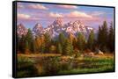 Canvas Black