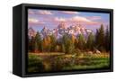 Canvas Black