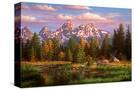 Stretched Canvas