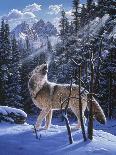 In the Still of the Tetons-R.W. Hedge-Giclee Print