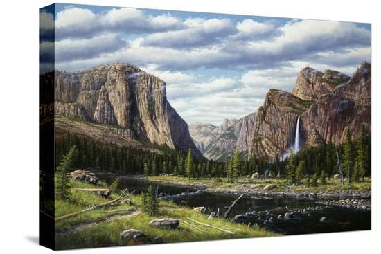 Stretched Canvas Print, , large