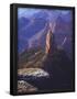 Essential Black