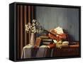 Framed Canvas
