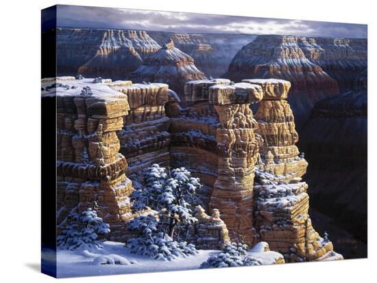 Stretched Canvas Print, , large
