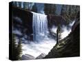 Stretched Canvas