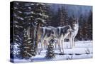 Stretched Canvas