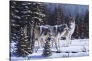 Stretched Canvas