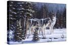 Stretched Canvas