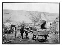 Old Irish Low-Back Car, 1901-R Welsh-Framed Stretched Canvas