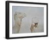 Rabari Leading Camel-Lincoln Seligman-Framed Giclee Print