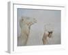 Rabari Leading Camel-Lincoln Seligman-Framed Giclee Print