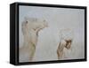 Rabari Leading Camel-Lincoln Seligman-Framed Stretched Canvas