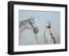 Rabari Leading Grey Horse-Lincoln Seligman-Framed Giclee Print