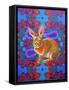 Rabbit, 2014-Jane Tattersfield-Framed Stretched Canvas