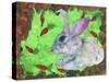 Rabbit and Carrots-Wolf Heart Illustrations-Stretched Canvas