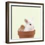 Rabbit and Chick Mini Ivory Satin Rabbit Sitting-null-Framed Photographic Print