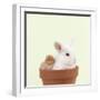 Rabbit and Chick Mini Ivory Satin Rabbit Sitting-null-Framed Photographic Print