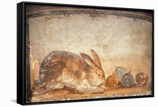 Rabbit and Figs, from the House of Stags, Herculaneum-null-Framed Stretched Canvas