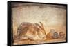 Rabbit and Figs, from the House of Stags, Herculaneum-null-Framed Stretched Canvas