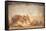 Rabbit and Figs, from the House of Stags, Herculaneum-null-Framed Stretched Canvas
