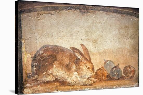 Rabbit and Figs, from the House of Stags, Herculaneum-null-Stretched Canvas