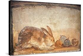 Rabbit and Figs, from the House of Stags, Herculaneum-null-Stretched Canvas