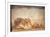 Rabbit and Figs, from the House of Stags, Herculaneum-null-Framed Giclee Print