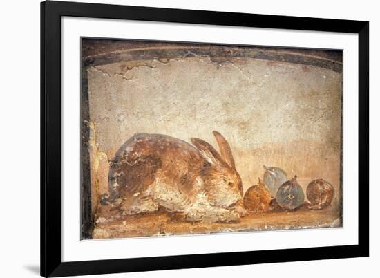 Rabbit and Figs, from the House of Stags, Herculaneum-null-Framed Giclee Print