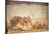 Rabbit and Figs, from the House of Stags, Herculaneum-null-Mounted Giclee Print