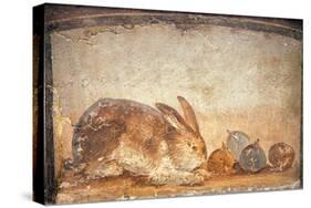 Rabbit and Figs, from the House of Stags, Herculaneum-null-Stretched Canvas