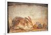 Rabbit and Figs, from the House of Stags, Herculaneum-null-Framed Premium Giclee Print