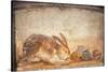 Rabbit and Figs, from the House of Stags, Herculaneum-null-Stretched Canvas