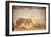 Rabbit and Figs, from the House of Stags, Herculaneum-null-Framed Premium Giclee Print