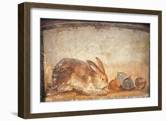 Rabbit and Figs, from the House of Stags, Herculaneum-null-Framed Giclee Print