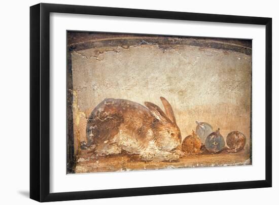 Rabbit and Figs, from the House of Stags, Herculaneum-null-Framed Giclee Print
