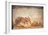 Rabbit and Figs, from the House of Stags, Herculaneum-null-Framed Giclee Print