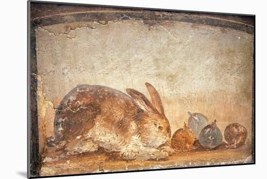 Rabbit and Figs, from the House of Stags, Herculaneum-null-Mounted Giclee Print