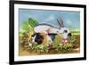 Rabbit and Guinea Pig, 1998-E.B. Watts-Framed Giclee Print