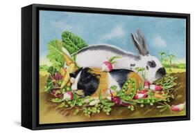 Rabbit and Guinea Pig, 1998-E.B. Watts-Framed Stretched Canvas