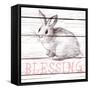 Rabbit Blessing-Andi Metz-Framed Stretched Canvas