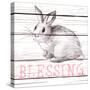 Rabbit Blessing-Andi Metz-Stretched Canvas